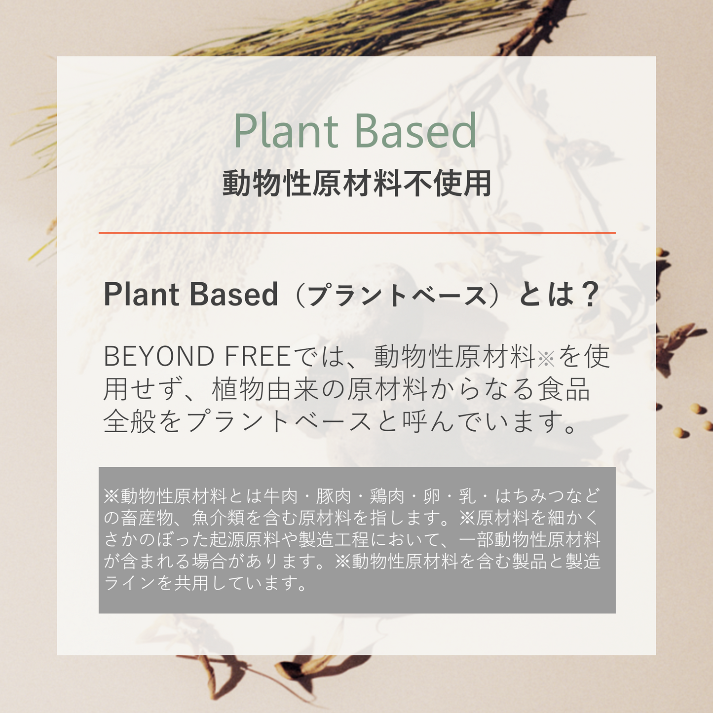 植物生まれのクロワッサン（10個入り）
