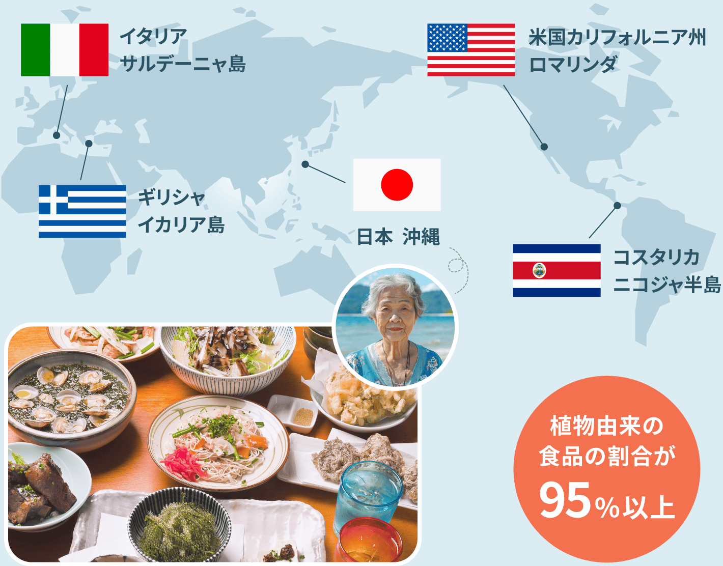 植物由来の食品の割合が95%以上