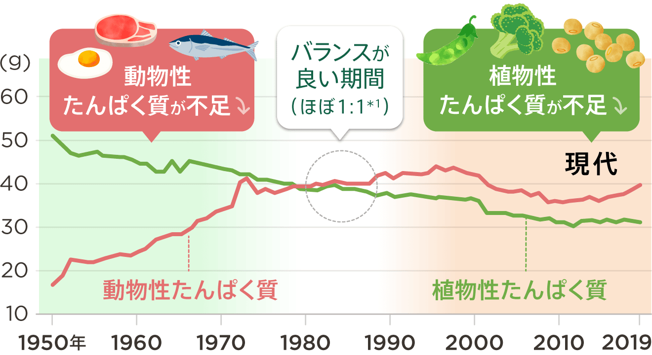 植物性タンパク質が不足